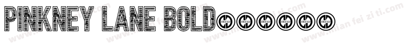 Pinkney Lane Bold字体转换